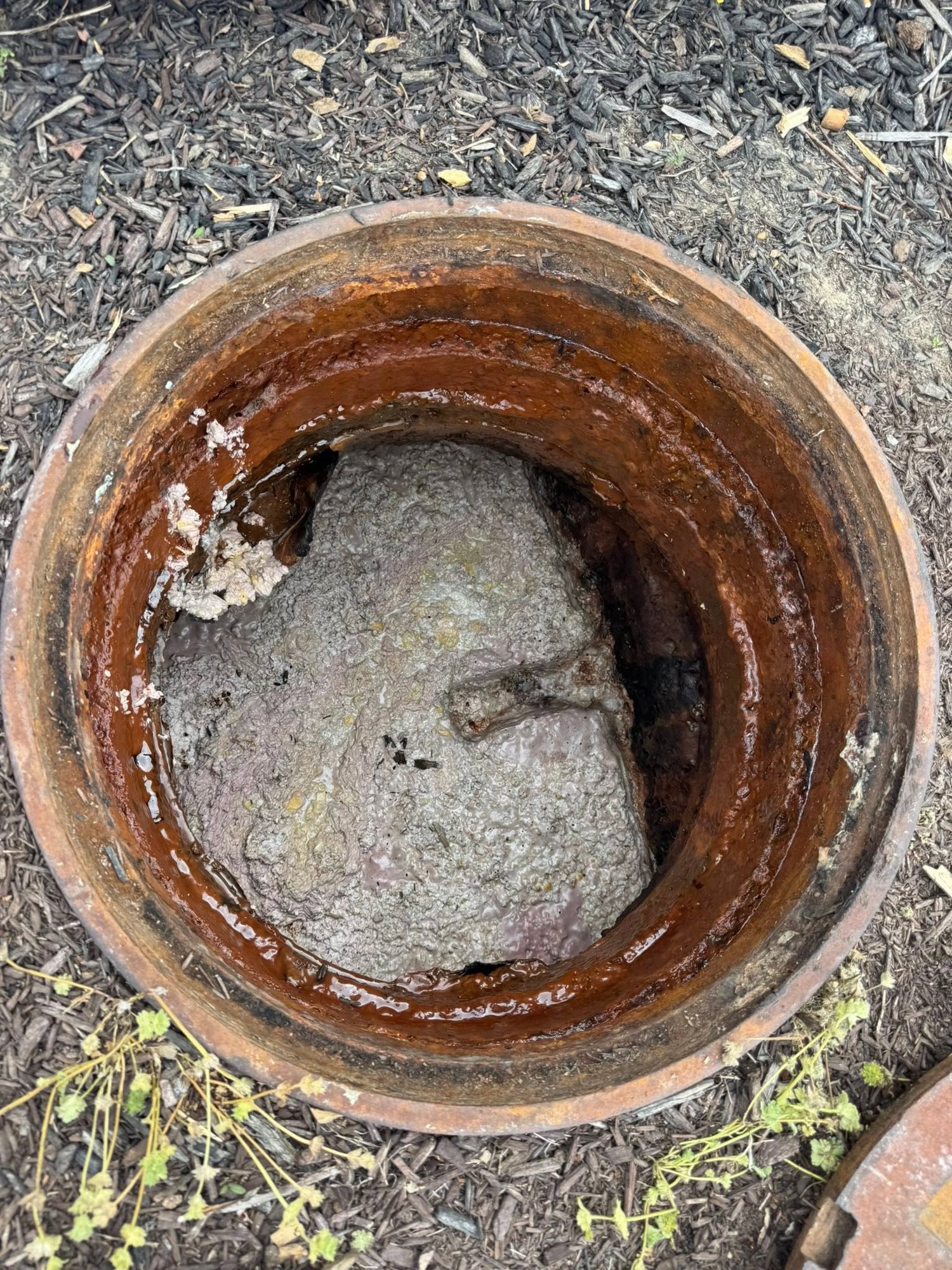 Septic tank condition visible through access opening